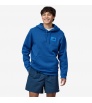 Patagonia '73 Skyline Uprisal Hoody